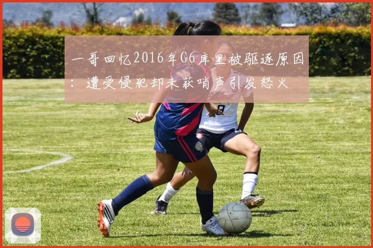 一哥回忆2016年G6库里被驱逐原因：遭受侵犯却未获哨声引发怒火